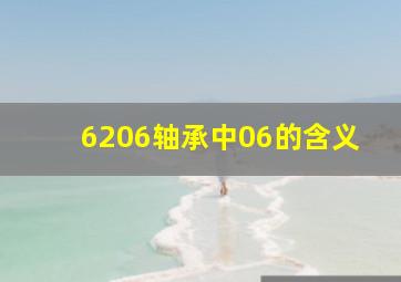 6206轴承中06的含义