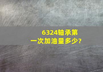 6324轴承第一次加油量多少?