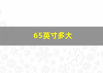 65英寸多大