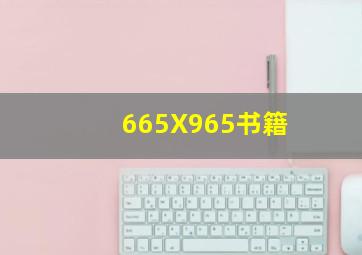 665X965书籍