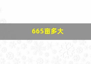 665亩多大