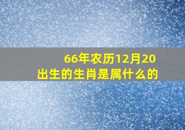 66年农历12月20出生的生肖是属什么的