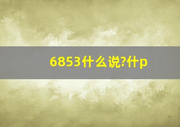 6853什么说?什p