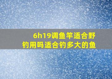 6h19调鱼竿适合野钓用吗适合钓多大的鱼