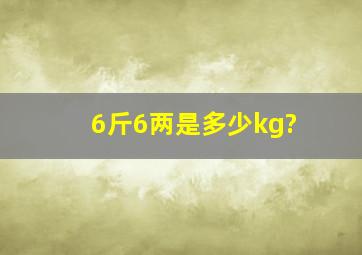 6斤6两是多少kg?