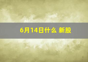 6月14日什么 新股