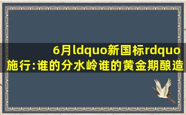 6月“新国标”施行:谁的分水岭,谁的黄金期酿造