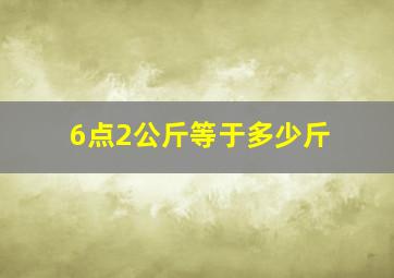 6点2公斤等于多少斤