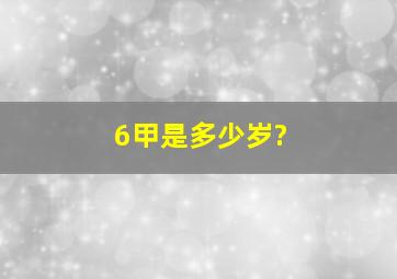 6甲是多少岁?