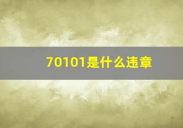 70101是什么违章