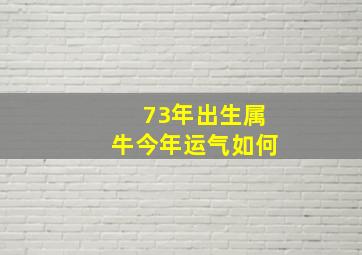 73年出生属牛今年运气如何(