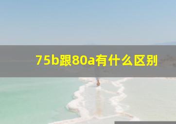 75b跟80a有什么区别