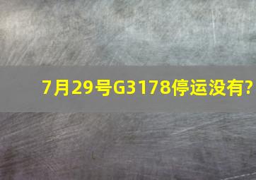 7月29号G3178停运没有?