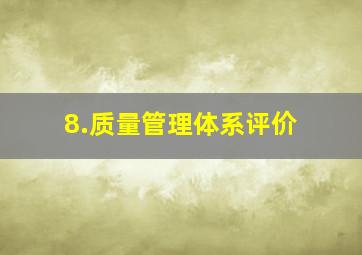 8.质量管理体系评价