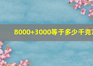 8000+3000等于多少千克?