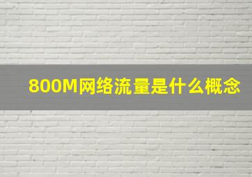 800M网络流量是什么概念(