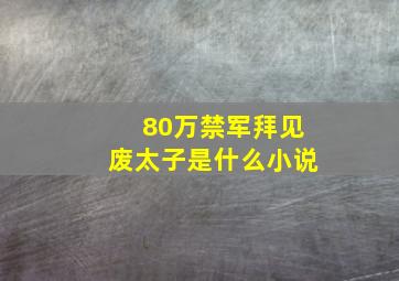 80万禁军拜见废太子是什么小说