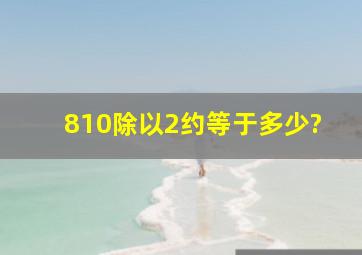 810除以2约等于多少?