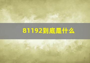 81192到底是什么