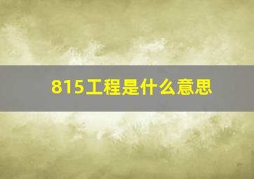 815工程是什么意思