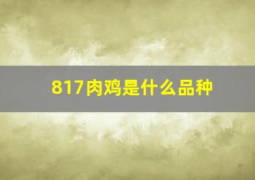 817肉鸡是什么品种