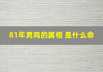 81年男鸡的属相 是什么命