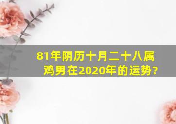 81年阴历十月二十八属鸡男在2020年的运势?