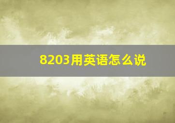 8203用英语怎么说