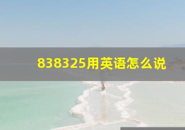 838,325用英语怎么说