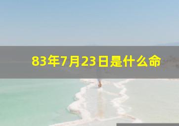 83年7月23日是什么命