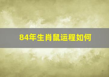 84年生肖鼠运程如何