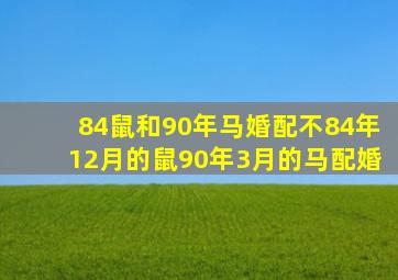 84鼠和90年马婚配不,84年12月的鼠90年3月的马配婚