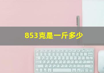 853克是一斤多少