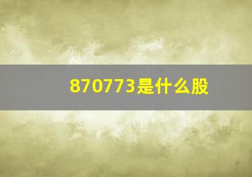 870773是什么股