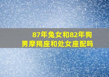 87年兔女和82年狗男摩羯座和处女座配吗