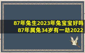 87年兔生2023年兔宝宝好吗,87年属兔34岁有一劫2022