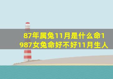 87年属兔11月是什么命,1987女兔命好不好11月生人