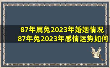 87年属兔2023年婚姻情况 87年兔2023年感情运势如何