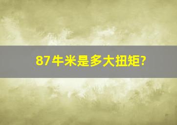 87牛米是多大扭矩?