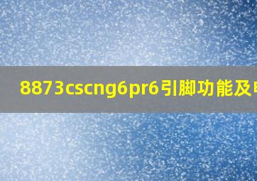 8873cscng6pr6引脚功能及电压