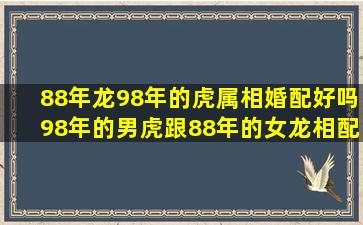 88年龙98年的虎属相婚配好吗,98年的男虎跟88年的女龙相配吗?