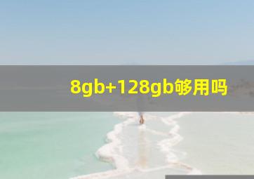 8gb+128gb够用吗(