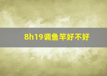 8h19调鱼竿好不好(