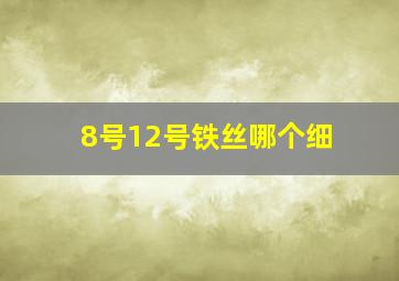 8号12号铁丝哪个细