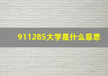 911285大学是什么意思