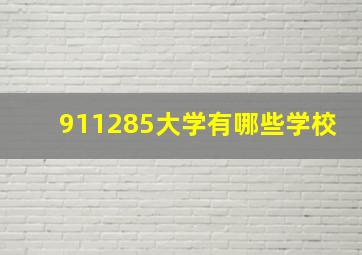 911285大学有哪些学校