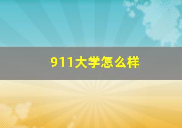 911大学怎么样(