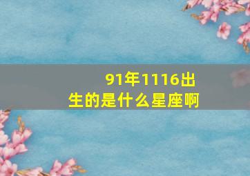 91年1116出生的是什么星座啊