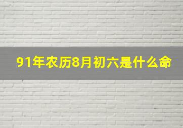 91年农历8月初六是什么命