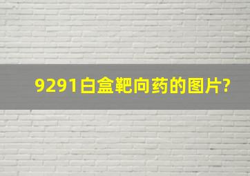 9291白盒靶向药的图片?